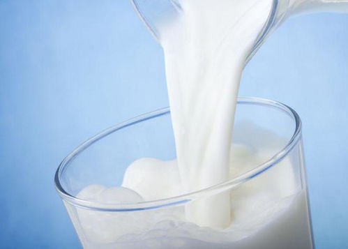 乳業春風再起 從乳品復蘇到大健康跨界，巨頭們如何打好業績翻身仗？